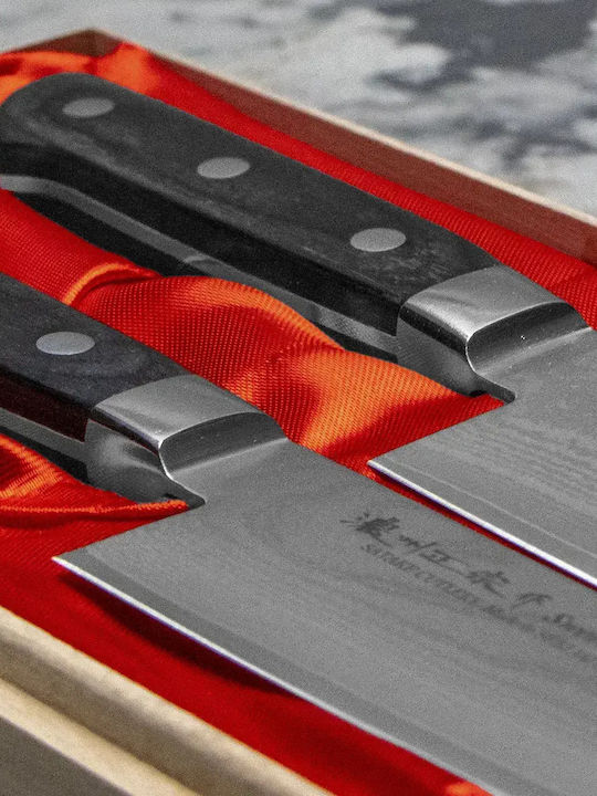 Satake Daichi Stainless Steel Knives Set 2 Pieces