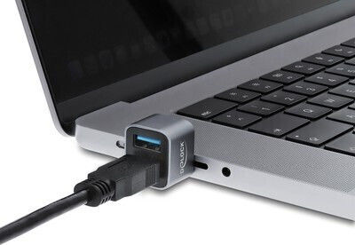 Delock Mini USB-Hub 64359 2x USB 3.2 10Gbps USB-C Verbindung Grau