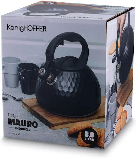 KönigHOFFER Rostfreier Stahl Teekessel Grau 3000ml