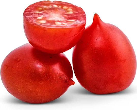 Hortus Sementi Tomate Saatgut Pomodoro 1g