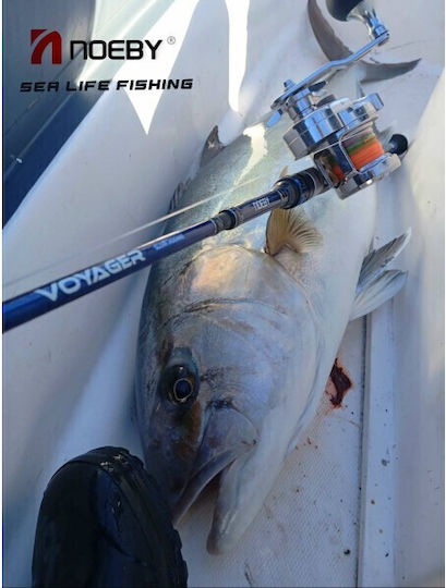Noeby Καλάμι Ψαρέματος για Slow Jigging / Casting / Συρτή 1.96m 30-260gr