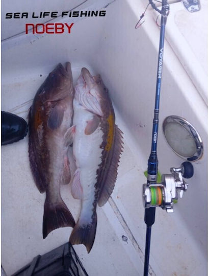 Noeby Fishing Rods for Spinning 1.96m 350g