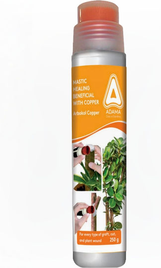 Gemma Impfpaste 250gr