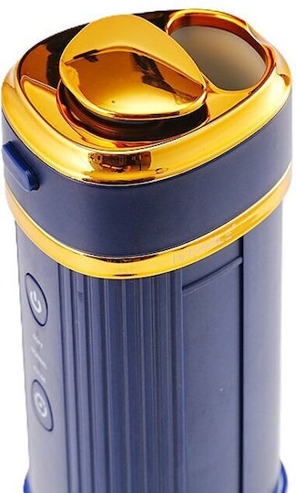 Ivismile 01wp-b Wasserflosser Marineblau
