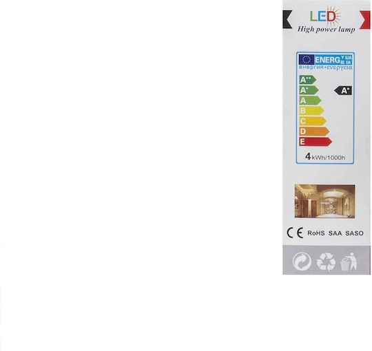 LED Glühbirne 4W für E27 Fassung und Form C35