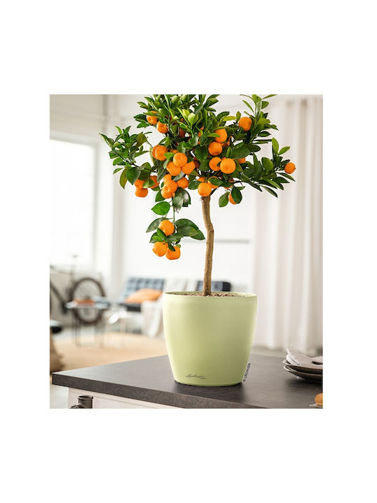 Lechuza Plastic Flower Pot Sand Brown 42x42x40cm