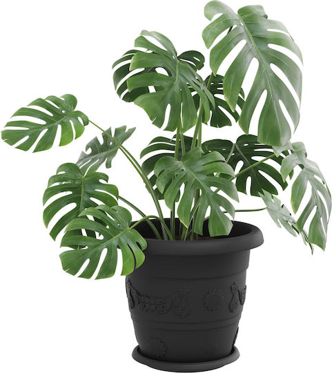 vidaXL Set of 6 Plastic Flower Pots Black 34x28cm