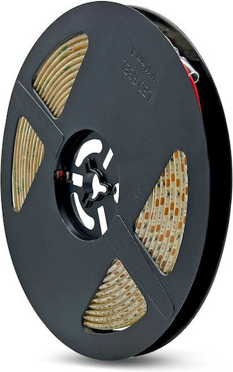 Geyer Waterproof LED Strip 12V Warm White Light 5m