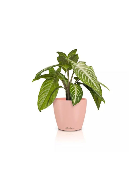 Lechuza Plastic Orange Flower Pot 15x15x13.7cm