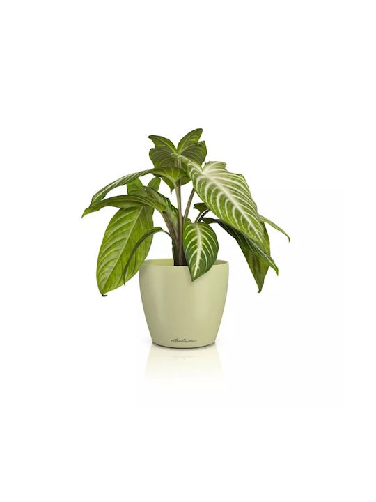 Lechuza Pot Plastic Pistachio 13x13x12cm.