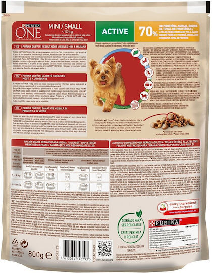 Purina One 0.8kg Dry Food for Small Breed Dogs with Chicken, Poultry, Wheat, Rice, Corn and Fish