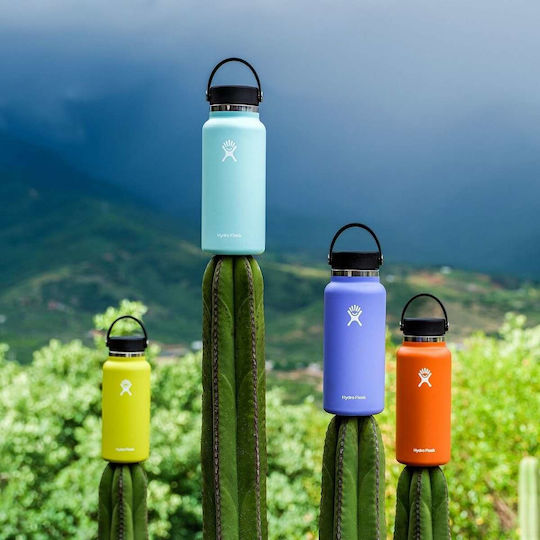 Hydro Flask Wide Mouth Thermos Bottle Stainless Steel 946ml Birch