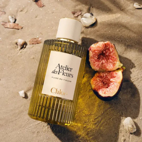 Chloe Chloé Atelier Des Fleurs Strand des Feigenbaums Eau de Parfum 50ml