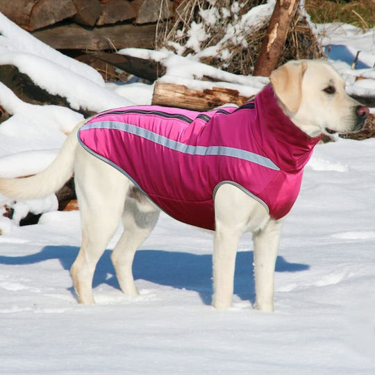 Animal Dog Coat Waterproof Windproof Pink With Back Length 72 cm