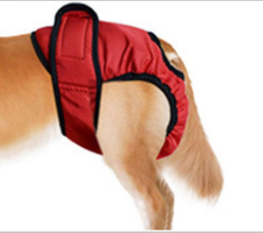 Animal Washable Dog Panties