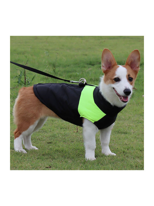 Animal Dog Coat Green Back Length 41 cm