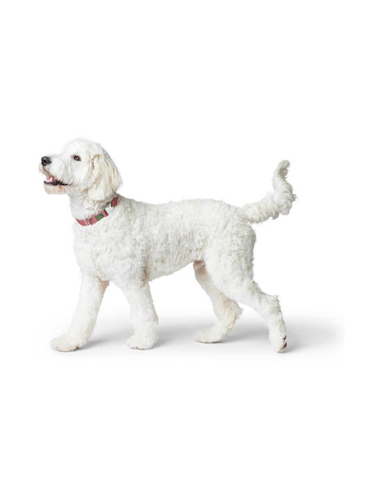 Hundehalsband Hunter Inari Alu-Strong XLarge Braun