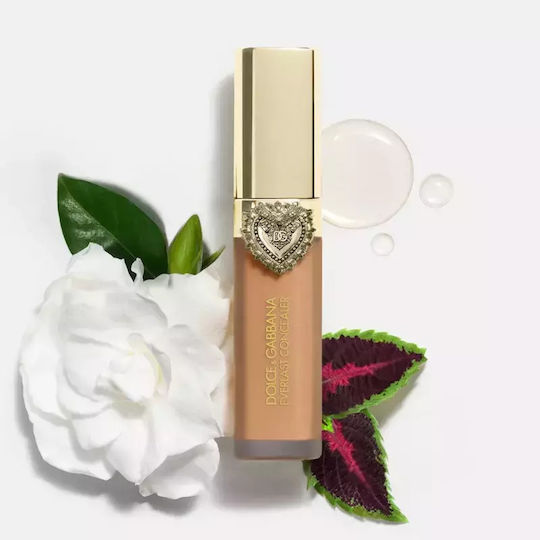 Everlast Liquid Concealer 03 Light - Pink Undertones 11ml