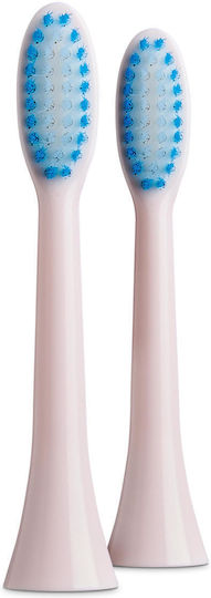 Raven Egsos006ps Toothbrush Heads 2pcs