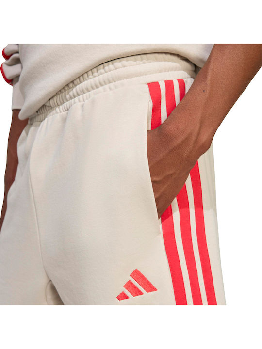 Sport Herren Shorts Beige