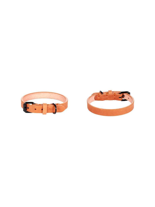 Flamingo Collar Leano Cognac 24-30cm/15mm