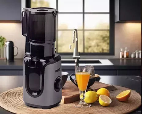 Unold Αποχυμωτής Αργής Σύνθλιψης 300W Γκρι