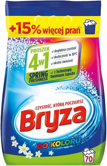Bryza Detergent Powder for Coloreds & Woolen Clothes 4.55kg (70 Measuring Cups)