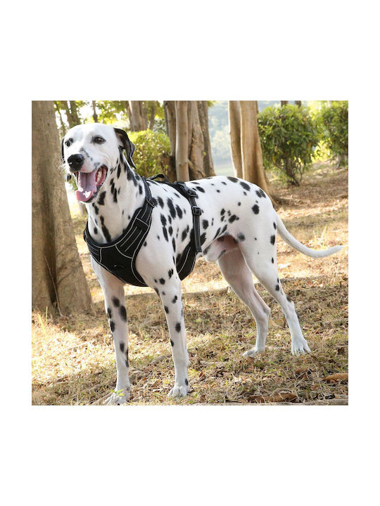 Animal Dog Harness Vest Orange Large 22.08.25499
