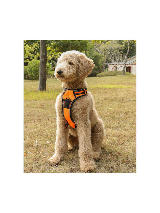 Animal Dog Harness Vest Orange Large 22.08.25499