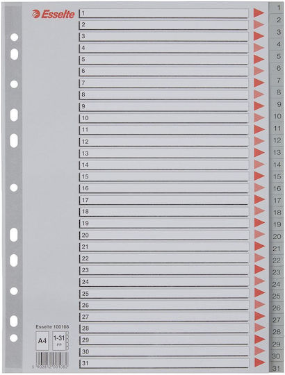Esselte Plastik Binder-Taschen Für Dokumente A4 Mit Löcher Und Verstärkung
