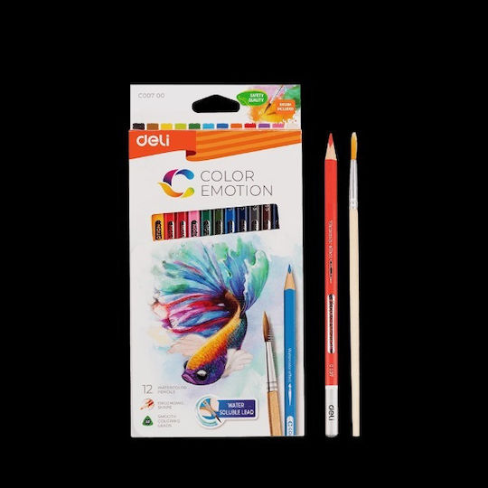 Watercolor Pencils Blister 12 Colors