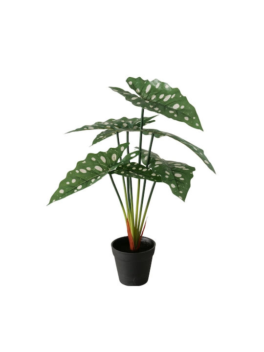 Künstliche Alocasia Topfpflanze Höhe 51 cm 2 Varianten