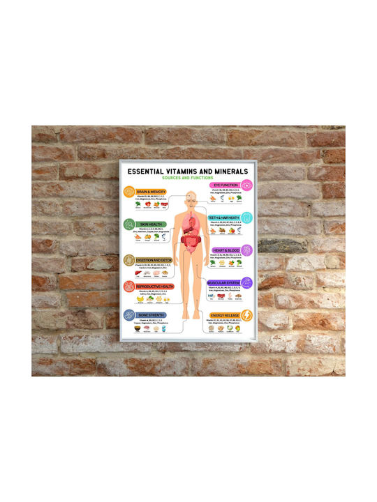 Set 6 Postere A4 Nutriție – Vitamine Minerale Macronutrienți Ghid De Alimentație Sănătoasă Scheme Educaționale Mâncare Sănătoasă