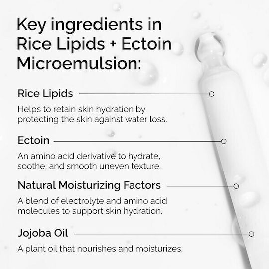 The Ordinary Rise Lipids & Ectoin Microemulsion Light Ενυδατικό Γαλάκτωμα Προσώπου κατά της Ερυθρότητας με Ρύζι
