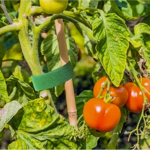 Bandă Adezivă cu Cârlig și Buclă Verde 5mx10mm