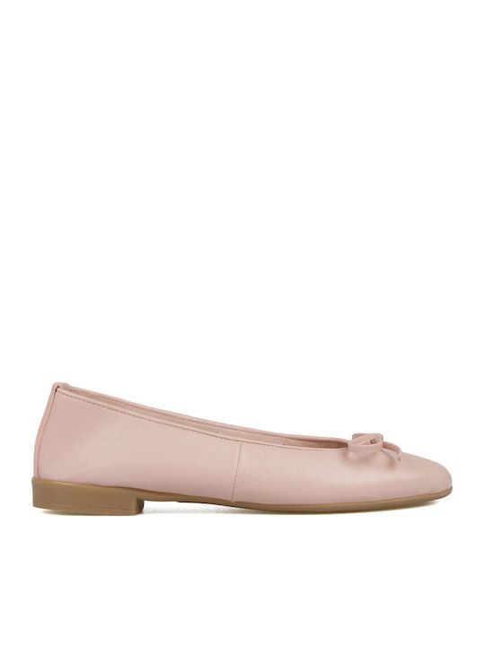 Silia D