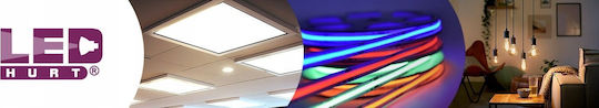 LED line LED Glühbirne 4W für E27 Fassung und Form A60 Warmes Weiß