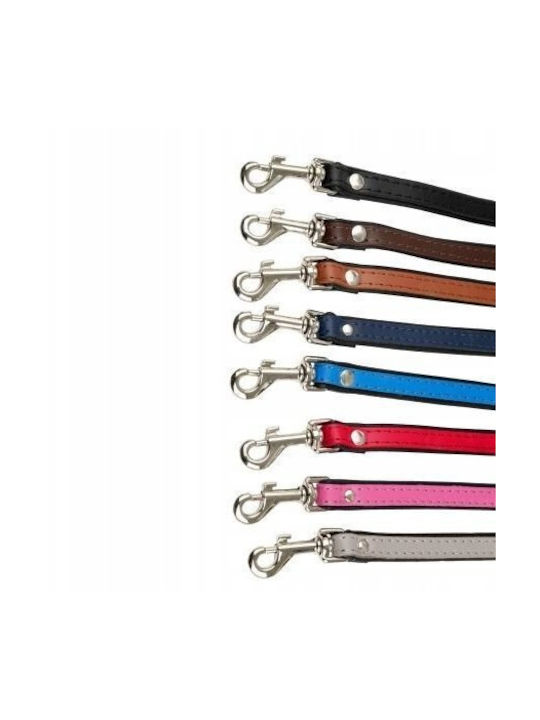 Leather Dog Collar Black Black Xs-s 12mm/35cm