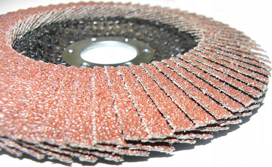 Andre Disc De Șlefuire 125mm P40 Eco Line Disc Cu Flipe Varianta Ii