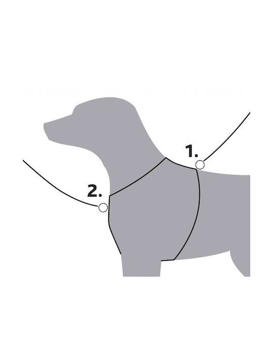 Premium Trekking Harness Dog Sand Graphite S–m 44–53 Cm/20 Mm Premium Trekking Harness Dog Sand Graphite S–m 44–53 Cm/20 Mm
