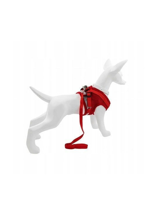 Set Harness + Leash Dog Red Polyester Size L Reflective Elements