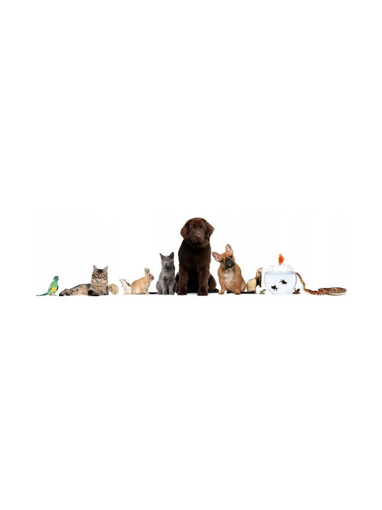 Barry King Kuscheliges Hundespielzeug