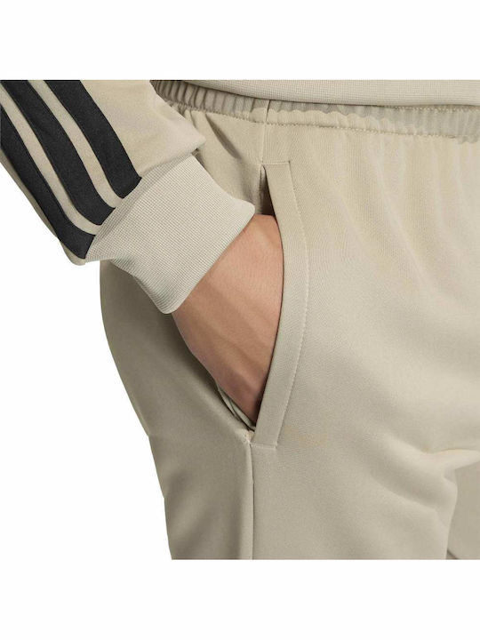 M 3s Glossy Tracksuit Set with Elastic Khaki