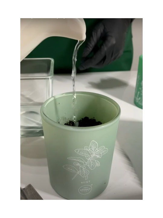 Aroma Home Thyme Scented Candle 150 G Unisex