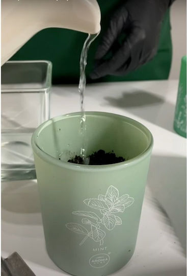 Aroma Home Thyme Scented Candle 150 G Unisex