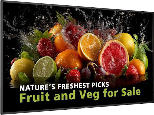 Philips Dline Public Display LCD ADS 4K UHD 65"