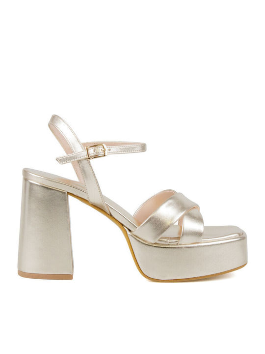 Silia D
