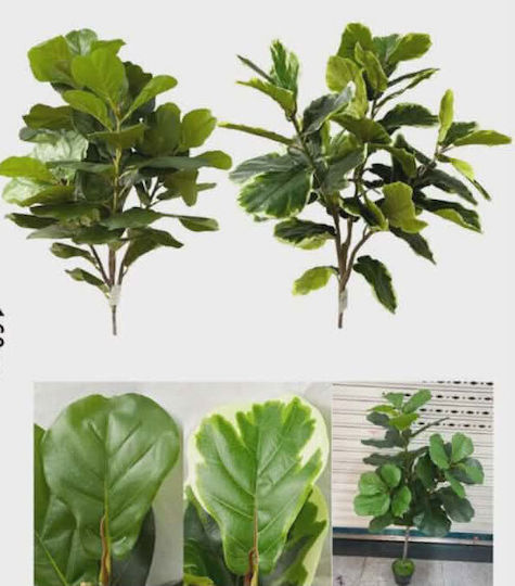 Artificial Decorative Plant Ficus Lyrata 160cm Realistic Ficus Lyrata Artificial Decorative Plant Ficus Lyrata 160cm Realistic Ficus Lyrata