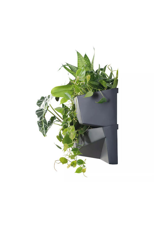 Σετ 2 Γλάστρες Πλαστικές Anthracite Gray