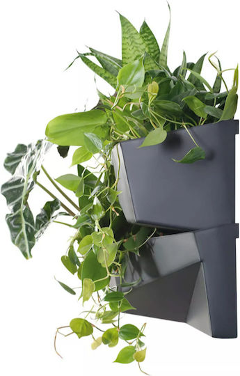 Set 2 Ghivece De Flori Din Plastic Gri Antracit